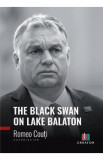 The Black Swan on Lake Balaton - Romeo Couti