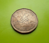 1 Dollar 2004 Canada Dolar Jocurile Olimpice JO, America de Nord