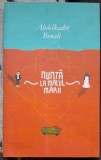 Nunta la malul marii - Abdelkader Benali
