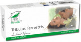 Tribulus terrestris, 30 capsule, Pro Natura