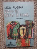 Vasile cel neluat in seama povestiri- Lica Rugina