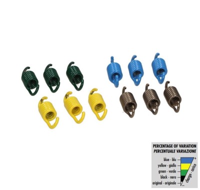 Set arcuri ambreiaj (12 bucati) Polini &amp;ndash; Aprilia - Benelli - CPI - Keeway - Malaguti - MBK - Yamaha (motorizare Minarelli) 2T 50cc foto