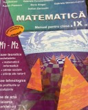 MATEMATICA MANUAL PENTRU CLASA A IX A BRANZEI