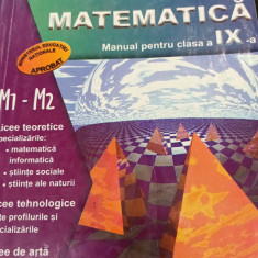 MATEMATICA MANUAL PENTRU CLASA A IX A BRANZEI