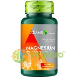 Magneziu 375mg 30tb