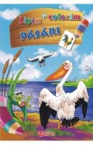 Lipim si coloram. Pasari