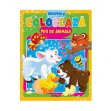 Descopera si coloreaza. Puii de animale