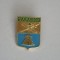 QW9 N4 46 - insigna - Orase - Zarask - Rusia