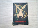 DIN TAINELE ILUZIONISMULUI - A. Iosefini - Editura Tineretului, 1961, 182 p.