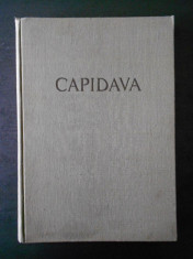 GR. FLORESCU, R. FLORESCU, P. DIACONU - CAPIDAVA. MONOGRAFIE ARHEOLOGICA foto