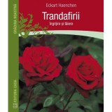Trandafirii: ingrijire si taiere - Eckart Haenchen - Casa
