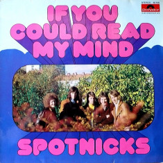 Vinil Spotnicks ‎– If You Could Read My Mind (VG+)