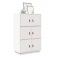 Gossi dulap inalt, alb, 67x40x108,5 cm, lemn masiv de pin