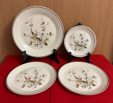 4 FARFURII ENGLEZESTI- MARCAJ ROYAL DOULTON LAMBETHWARE - WILD CHERRY 1979