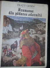 carte veche Povesti copii,FRUMOASA DIN PADUREA ADORMITA,FRATII GRIMM,1991,T.GRAT foto
