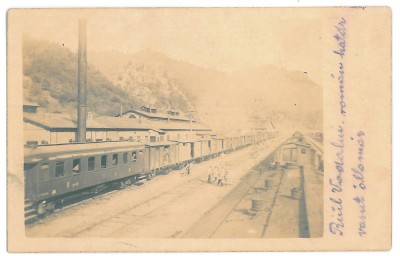3545 - RAUL VADULUI, Valcea, Railway Station - old PC, real PHOTO - used - 1918 foto