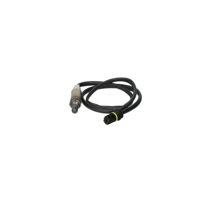 Sonda Lambda BMW 3 Cabriolet E46 BERU OZH218 foto