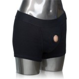 Calexotics Boxer Brief Harness