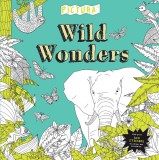 Pictura Puzzles - Wild Wonders | Jake McDonald, Templar Publishing