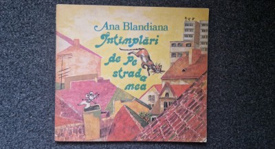 INTAMPLARI DE PE STRADA MEA - Ana Blandiana foto