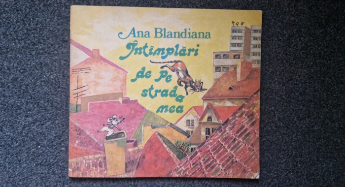 INTAMPLARI DE PE STRADA MEA - Ana Blandiana
