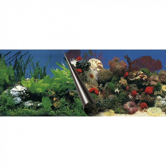 Fundal Dublu Pentru Acvariu, Piatra Si Coral, 60x30 cm 241 108833