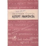 Astept provincia - proza scurta -