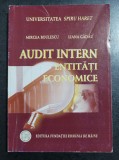 Mircea Boulescu - Audit intern. Entitati economice