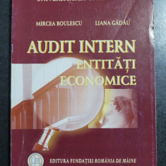 Mircea Boulescu - Audit intern. Entitati economice