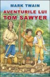 Aventurile lui Tom Sawyer - Mark Twain