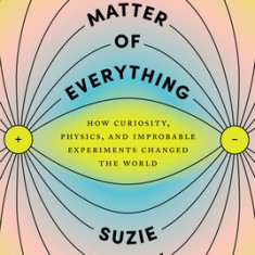 The Matter of Everything: How Curiosity, Physics, and Improbable Experiments Changed the World