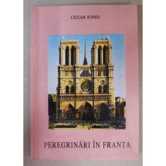 PEREGRINARI IN FRANTA de CEZAR IONEL , 2001, DEDICATIE *