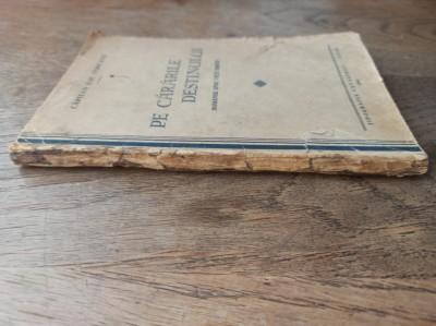 CAPITAN ILIE STRICATU- PE CARARILE DESTINULUI ROMANUL UNEI VIETI TRAITE , 1940 foto