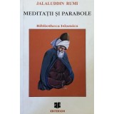 MEDITATII SI PARABOLE, EDITIE BILINGVA PERSANA-ROMANA de JALALUDDIN RUMI, 2002