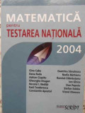 MATEMATICA PENTRU TESTAREA NATIONALA 2004-COLECTIV