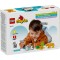 Foto  - 2