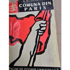 D. Rosenzweig - Comuna din Paris