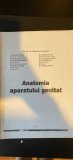 Anatomia aparatului genital, ALL