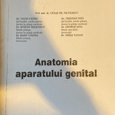 Anatomia aparatului genital