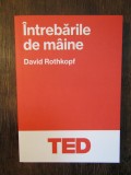 &Icirc;ntrebările de m&acirc;ine - David Rothkopf