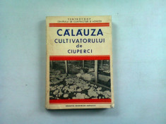 CALAUZA CULTIVATORULUI DE CIUPERCI - N. MATEESCU foto