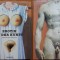 Angelica Muthesius , Gilles Neret , Erotismul in arta , Editura Taschen , 1998