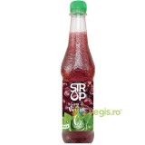 Sirop de Visine cu Stevia fara Zahar Adaugat 500ml