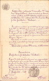 HST A216 Copie legalizată de epocă 1877 județul Vaslui