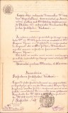 HST A216 Copie legalizată de epocă 1877 județul Vaslui