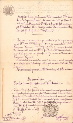 HST A216 Copie legalizată de epocă 1877 județul Vaslui foto