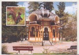 bnk cp Vatra Dornei - Parcul statiunii - Foisorul fanfarei - necirculata