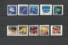 TRINIDAD TOBAGO 2005 FAUNA MARINA PESTI TESTOASE HOMARI CORALI foto