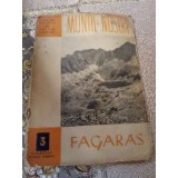D. Munții Noștri Făgăraș nr 3