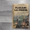 Flacari la prova de Costache Alexandrescu
